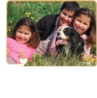 Köpeklerde kalp hastalıkları ne kadar sık görülür?