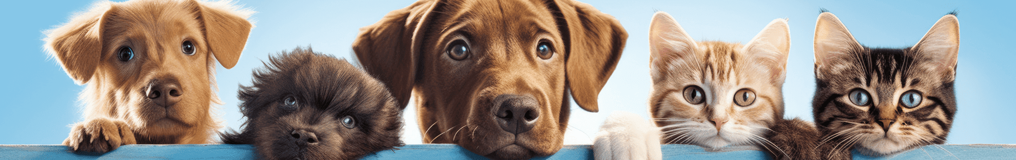 Köpekler ve kediler