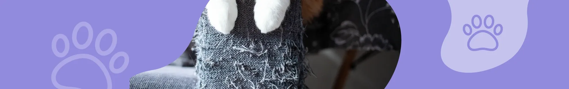 Kediniz Neden Tırmalar?