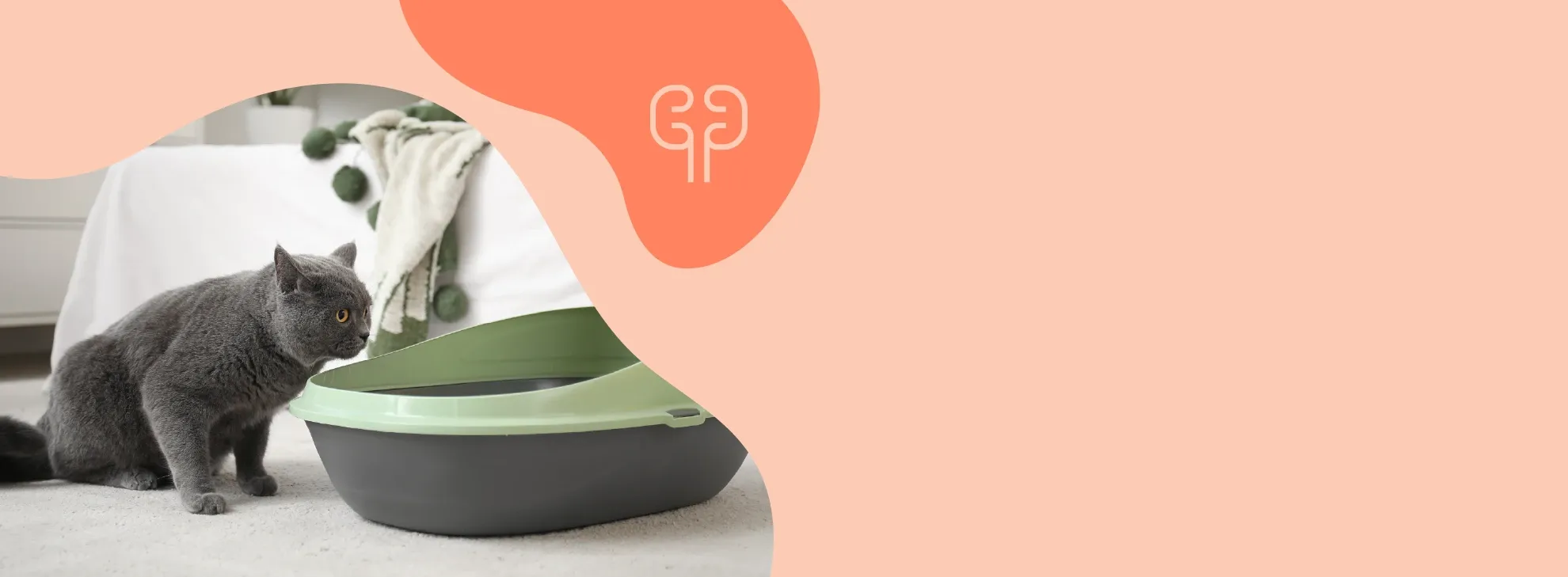 Kedinizin Böbreklerine Dikkat!