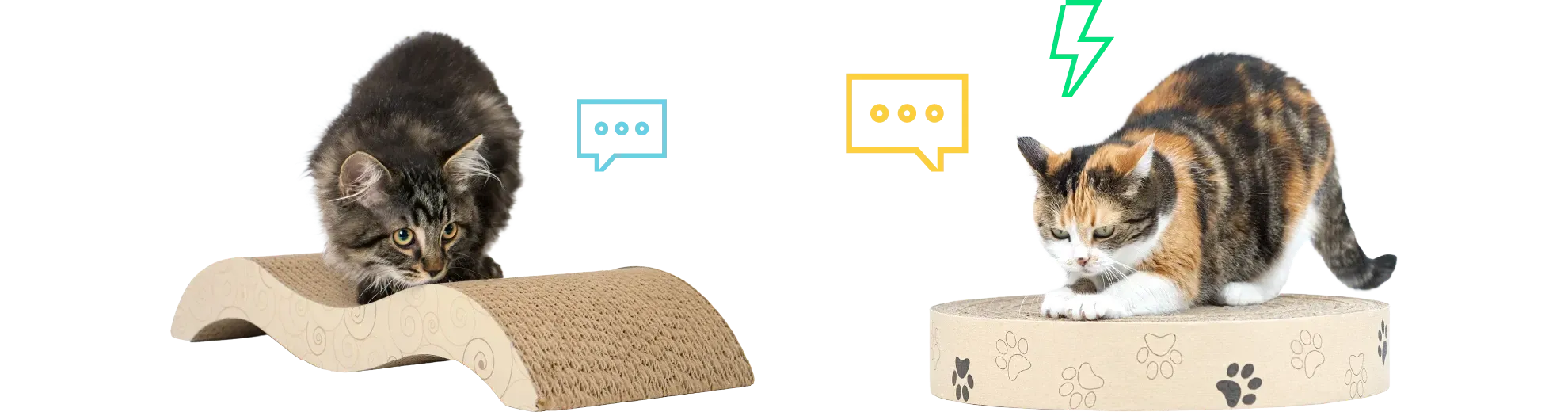 Kediniz Neden Tırmalar?