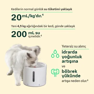 Böbrekler Hakkında Bunları Biliyor Muydunuz?