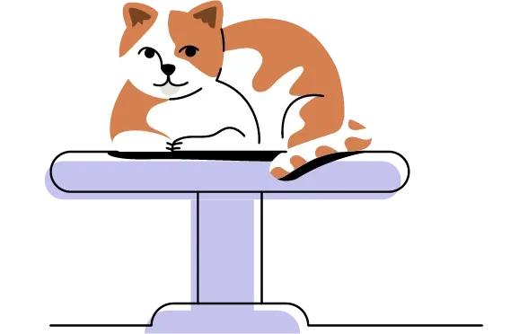 Kedimin Tırnağını Nasıl Kesmeliyim?