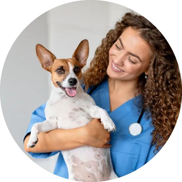 Köpeklerde Bağırsak Parazitleri: Tedavi ve Korunma Yöntemleri